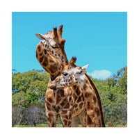 Zaštitni znak likovna umjetnost 'Dvije žirafe divlje životinje' platno umjetnost od strane nevjerojatnih