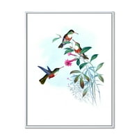 Designart 'drevni hummingbird iv' Tradicionalno uokvireno platno zidno umjetnički tisak