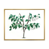 DesignArt 'Drevni zeleni listovi biljke I' tradicionalno uokvireno platno zidne umjetničke tisak