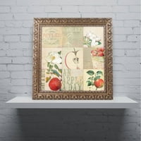 Zaštitni znak likovna umjetnost Apple Blossoms iii Canvas Art by Color Bakery Gold Ukratni okvir